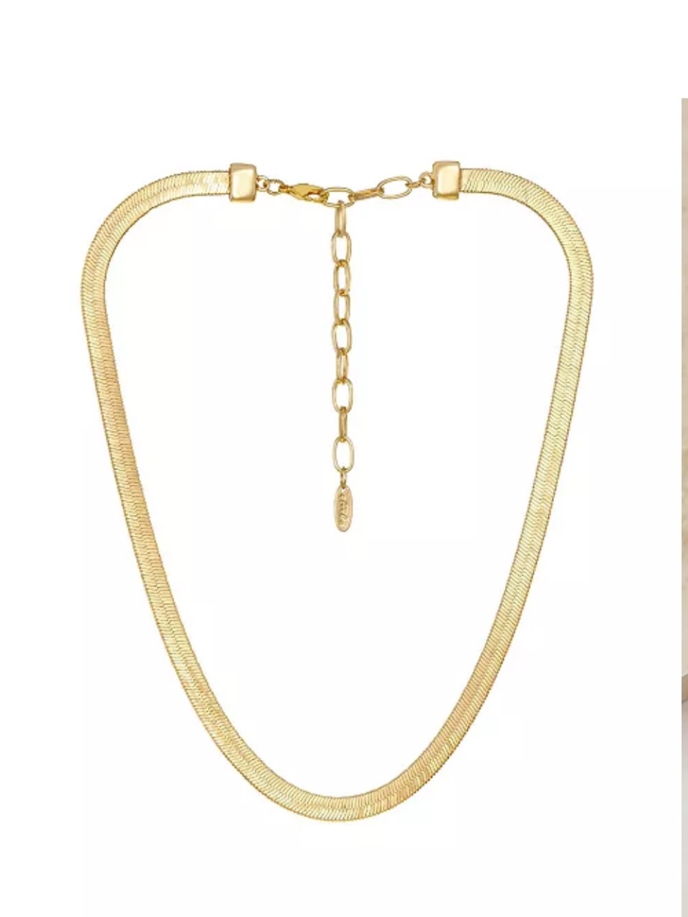 ETTIKA
Gold Plated Flat Snake Chain Necklace